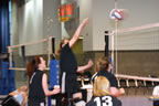 IMG_9087.jpg (35kb)