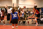 IMG_9448.jpg (48kb)