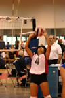 IMG_9455.jpg (35kb)