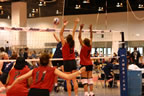 IMG_9461.jpg (53kb)
