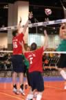 IMG_9335.jpg (84kb)