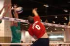 IMG_9356.jpg (55kb)
