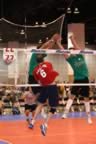 IMG_9390.jpg (81kb)